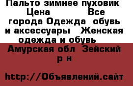 Пальто зимнее пуховик › Цена ­ 2 500 - Все города Одежда, обувь и аксессуары » Женская одежда и обувь   . Амурская обл.,Зейский р-н